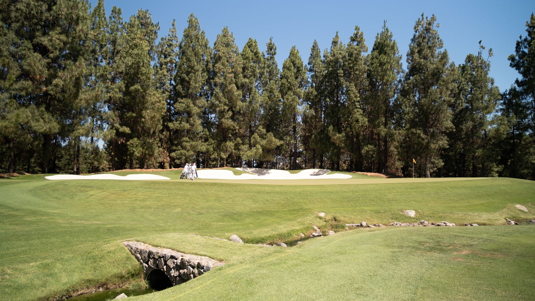 The 14th hole at The Institute, which nods to Augusta National
