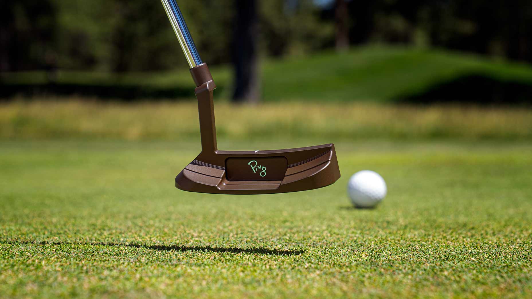 A close-up of a PLD Milled golf putter in mid-air, about to hit a white golf ball on a green putting surface, with a blurred grassy background&mdash;showcasing the precision that Scottsdale TEC putters are known for.