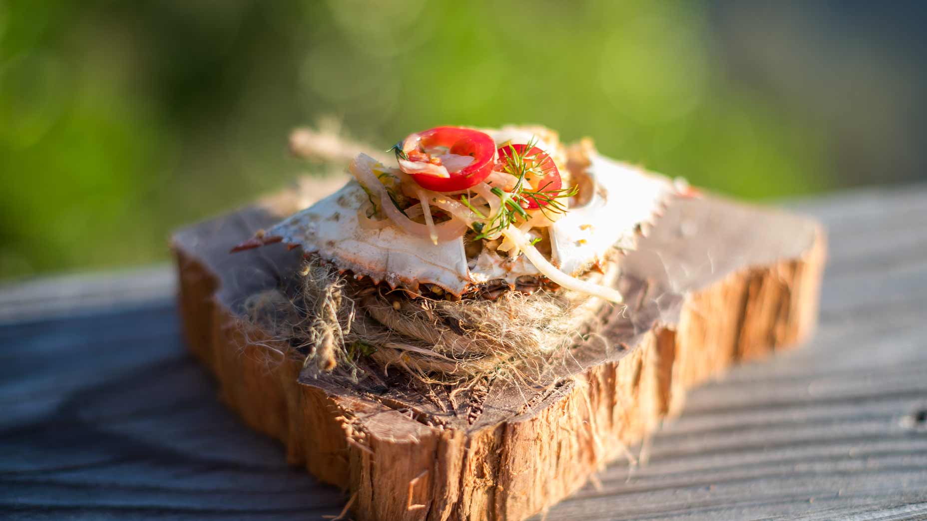 A creative seafood presentation featuring a crab shell topped with sliced tomato, herbs, and sprouts, served on rustic wood outdoors, against a blurred green background.