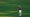 Abraham Ancer of Mexico plays an approach stroke on the No. 15 hole during Round 3 of the Masters at Augusta National Golf Club, Saturday, November 14, 2020