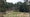 Aiken Golf Club in South Carolina.