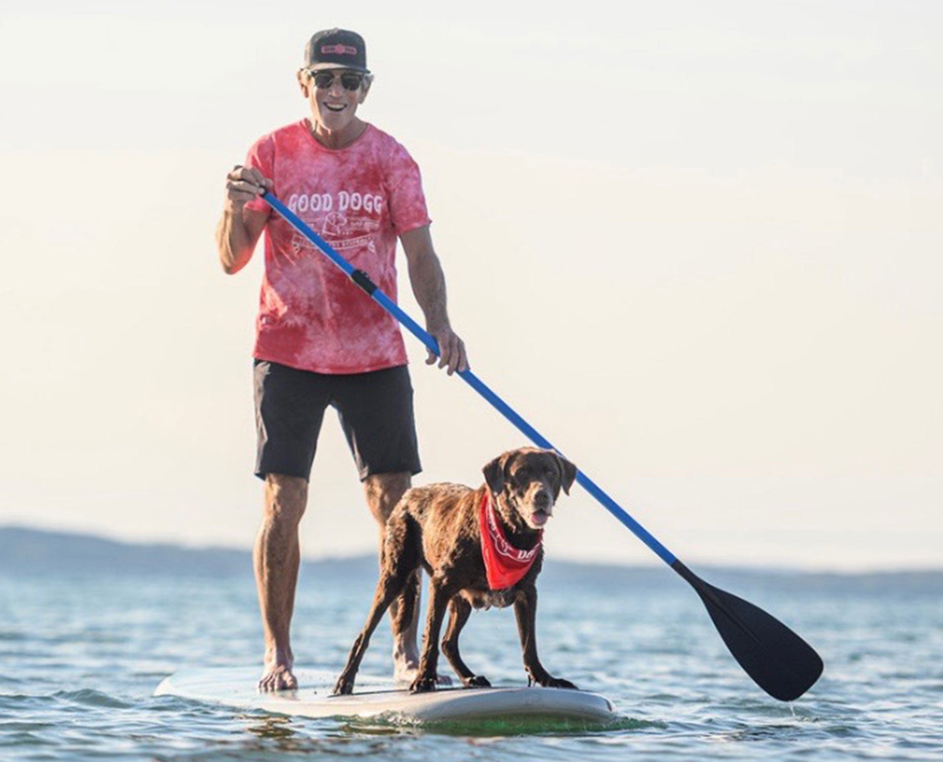 A man in a red T-shirt and shorts paddleboards on calm water with his brown dog, sporting a red bandana, at the front of the board. The sky is clear&mdash;an unusual Wizard of Odd moment in a relaxed atmosphere.