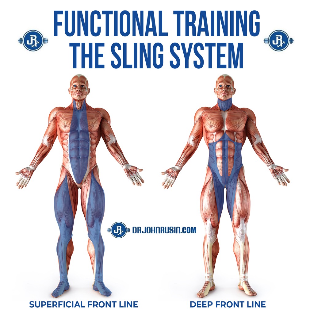 myofascial lines